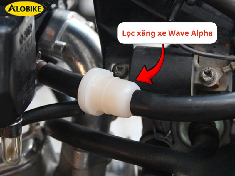 xe wave không đề được