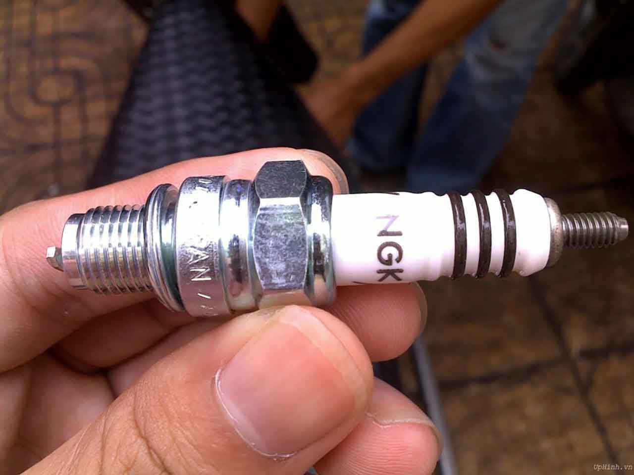 bảo dưỡng xe số